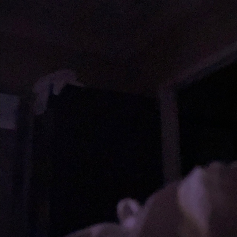 Meet your Posher, Alec